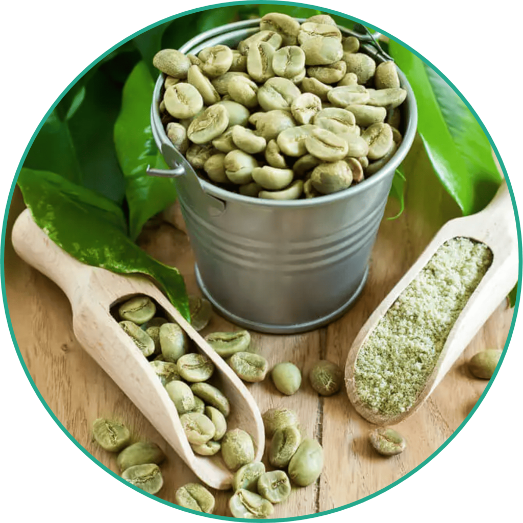 O Café Verde é rico em ácido clorogênico, reduz a absorção de glicose no intestino, promovendo a perda de peso, acelera o metabolismo e ofere propriedades antioxidantes.
