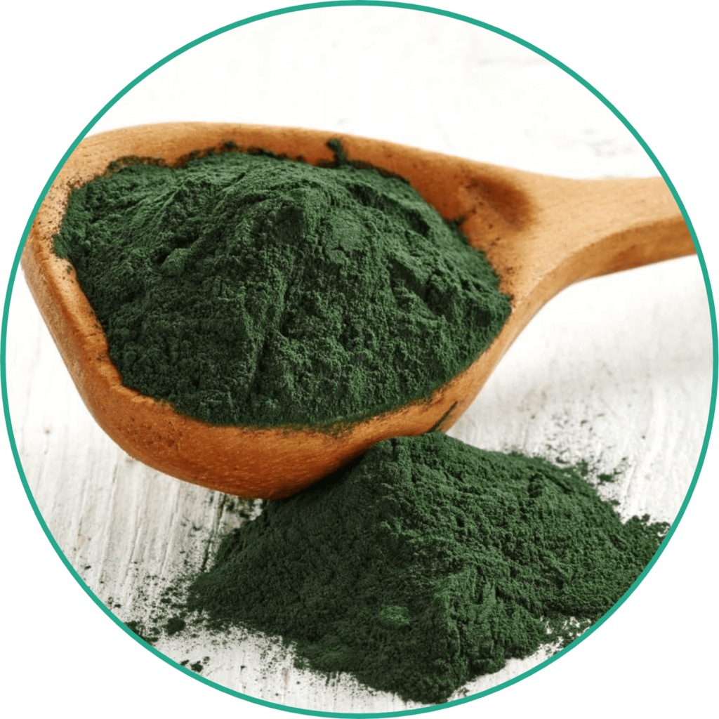 A Espirulina é rica em proteínas, vitaminas, minerais e antioxidantes, aumenta a energia, melhora o sistema imunológico e promove a desintoxicação do organismo.